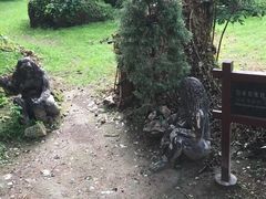 -沕沕水生态风景区