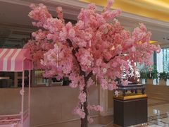 -高东镇樱花园