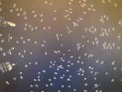 -张之洞与武汉博物馆