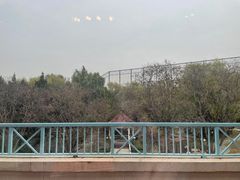 -香江小厨 The Kitchen(香江俱乐部店)