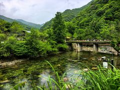 -石台牯牛降景区