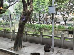 -探窝·竹笙椰子鸡(杨箕店)