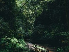 -青城山
