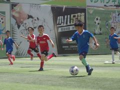 -飞梦少儿足球培训(塘桥校区)