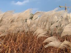 -同济大学(嘉定校区)