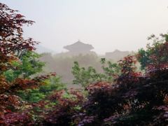 -敬亭山风景名胜区