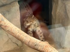 -青藏高原野生动物园
