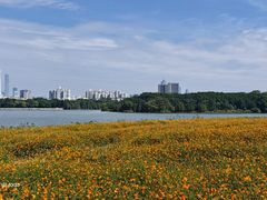 -海珠湖公园