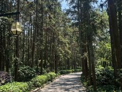 -冶父山国家森林公园