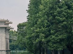 -东湖落雁景区