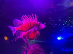 -沈阳海洋探索中心