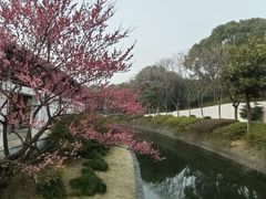 -蠡湖大桥公园