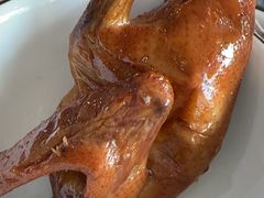 -鸽鸟轩(石岐店)