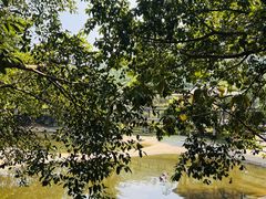 -泉州海丝野生动物世界