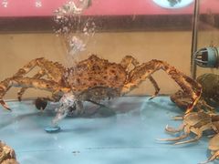 -谊荣海鲜大牌档(石湖店)