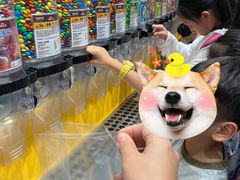 -m豆巧克力世界(上海世茂广场店)