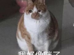 -通海俄式烧烤(下瓦房店)