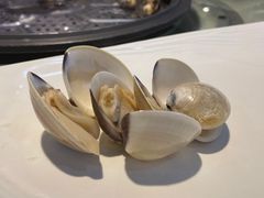 -越百海海鲜蒸锅(乐山店)