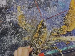 -十二海鲜(南湖店)