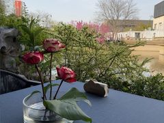 -苏城家宴·金堤花园店(李公堤店)