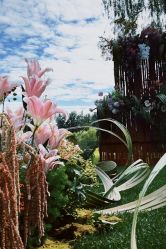 -美薇亭婚礼顾问