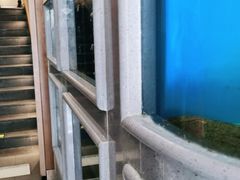 -食神鱼头佛跳墙(百子湾旗舰店)