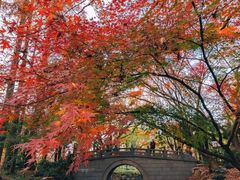 -共青国家森林公园-售票处