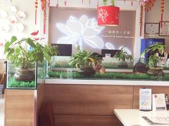 -嘉和一品粥(津华昌道店)