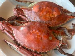 清蒸梭子蟹-高佳庄·舟山海鲜(海景旗舰店)