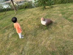 -盐城丹顶鹤湿地生态旅游区