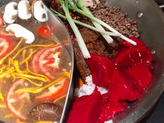 -四小区火锅·巷子里的重庆火锅(花照壁店)