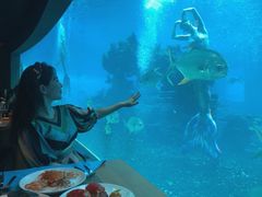 -海棠湾洲际-涛·海底餐厅·美人鱼·自助餐·海底隧道