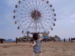 -奉贤海滩