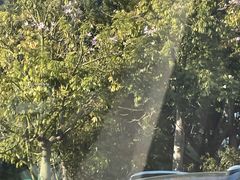 -老火车站牛肉粉