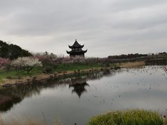 -上海海湾国家森林公园