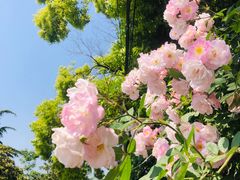 -四宜糕团店(南大街店)