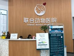 -联合动物医院(光谷诊疗中心)