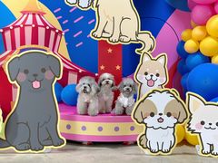 -百好乐宠物友好餐厅(朝外大街店)