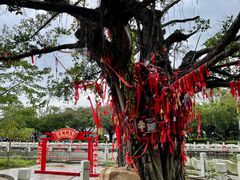 -南沙天后宫景区