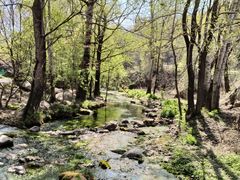 -玉渡山自然风景区