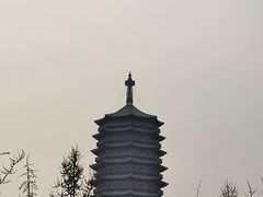 -莲花池公园