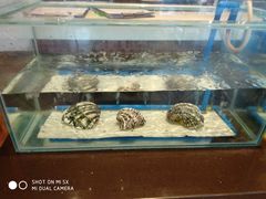 -火舞泰·泰式海鲜火锅餐厅(世纪城店)