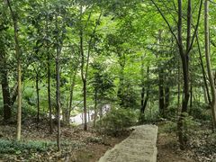 -上海佘山国家森林公园天马山园