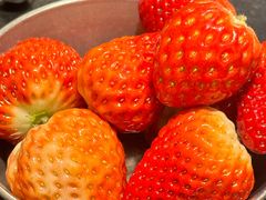 -炽城·烤肉名家(鸿达中央广场店)