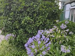 -成都银泰中心in99