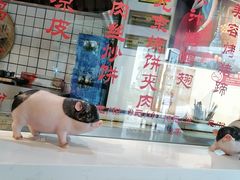 -苗小坛酸汤鱼(酒仙桥店)