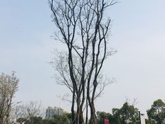 -新江湾城公园