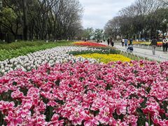 -玄武湖景区-情侣园游乐场