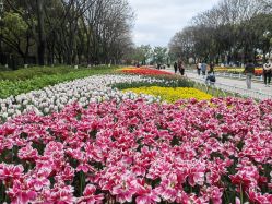 -玄武湖景区-情侣园游乐场