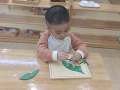 -自然树儿童之家(海珠翠城花园托育.早教校区)